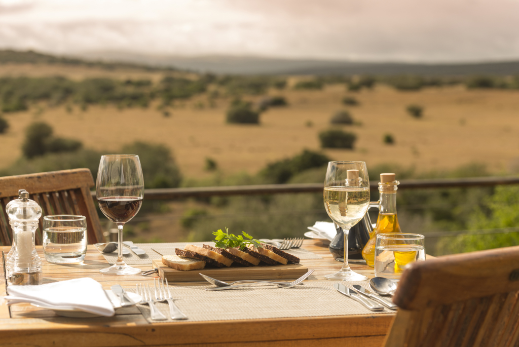 Sarili Lodge - Shamwari Game Reserve - Greater Addo Reservations